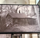 Cosa potrebbe portare la pioggia?