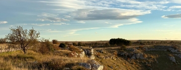 Il Pulo di Altamura, naufragando in un mare di pietra