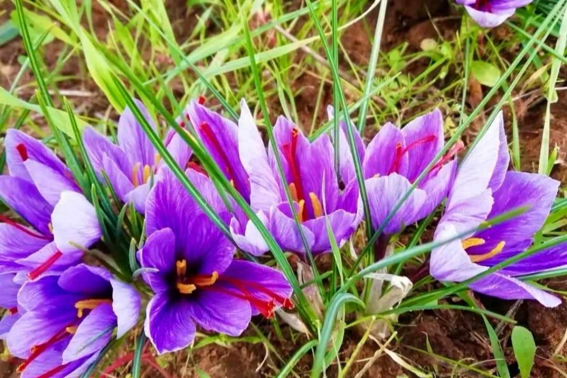 Essere gentili, quando tutto finisce