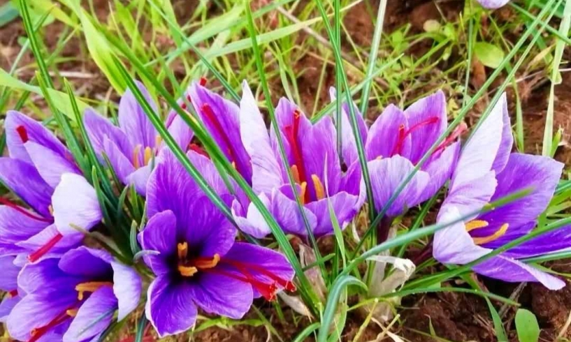 Essere gentili, quando tutto finisce