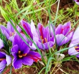 Essere gentili, quando tutto finisce