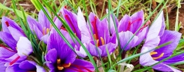 Essere gentili, quando tutto finisce