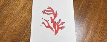 Laura Crippa, alfa privativo