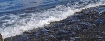 È uno di quei giorni