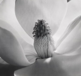 Un gruista in Paradiso, Arto Paasilinna