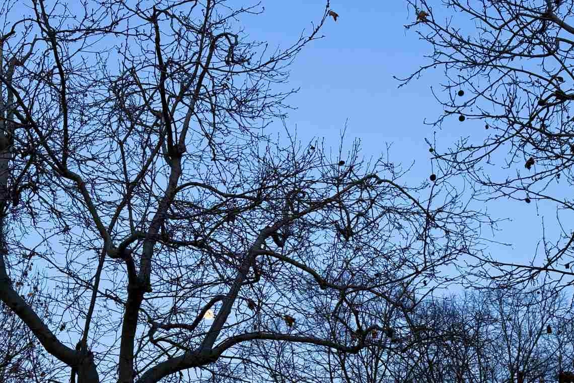 Potrebbe essere sera