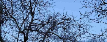 Potrebbe essere sera