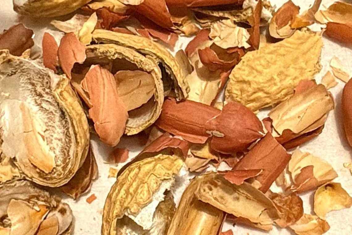 Quel che resta di un’arachide