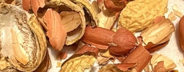 Quel che resta di un’arachide