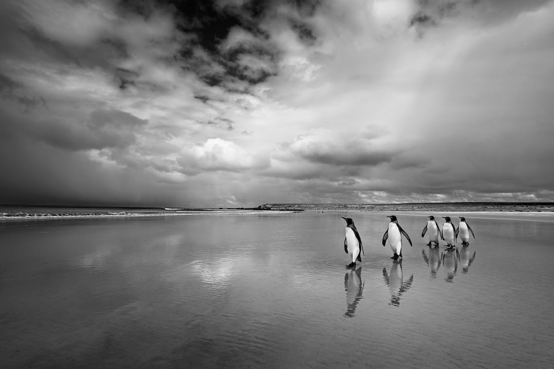 Cristina Mittermeier, la rivoluzione irresistibile