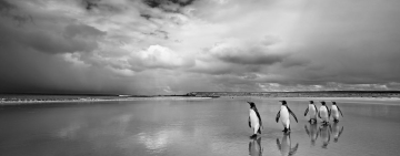 Cristina Mittermeier, la rivoluzione irresistibile