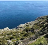 Ogni volta che ti vedo fiorire, Alda Merini