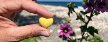 Cuori