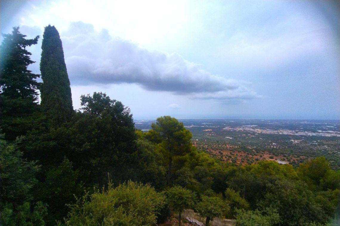 La finestra sulla Selva