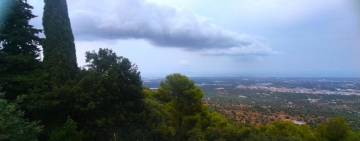 La finestra sulla Selva