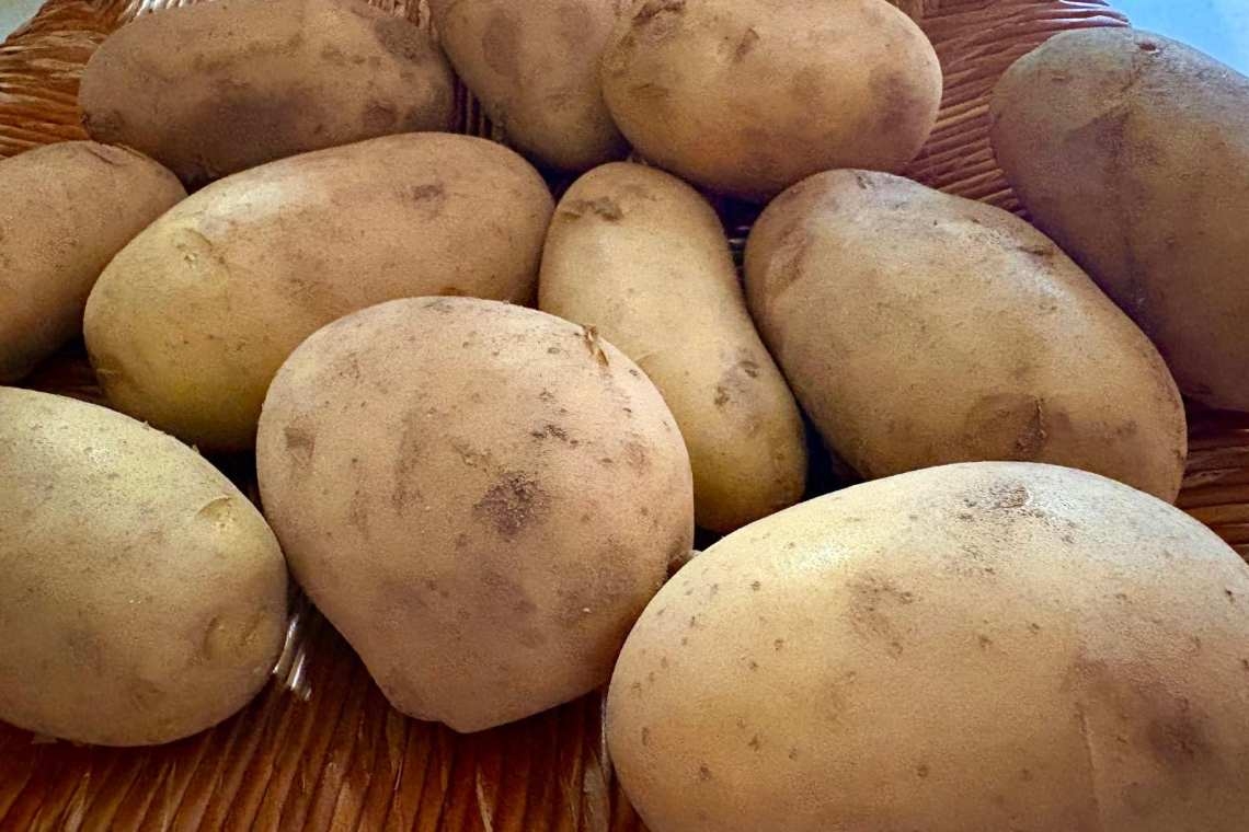 Patata di Zapponeta, irresistibile