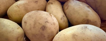 Patata di Zapponeta, irresistibile