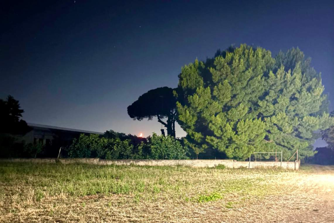 Un brivido che vola via