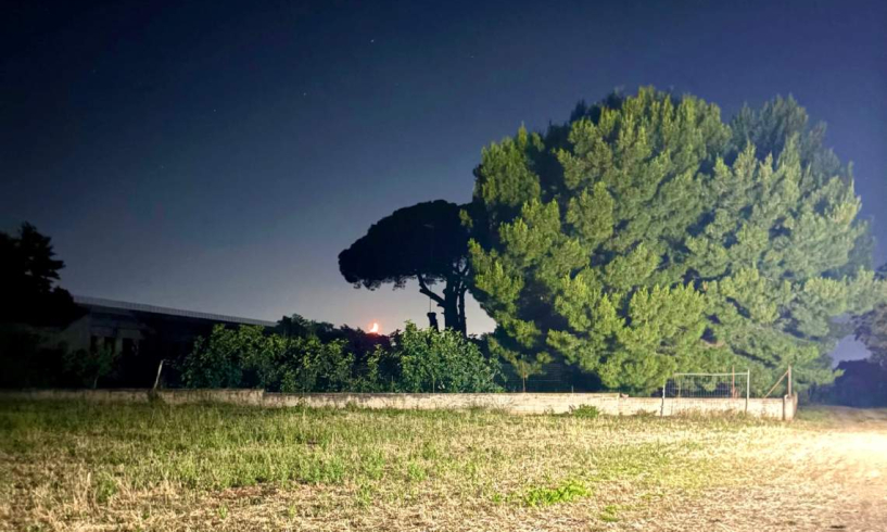 Un brivido che vola via