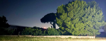 Un brivido che vola via