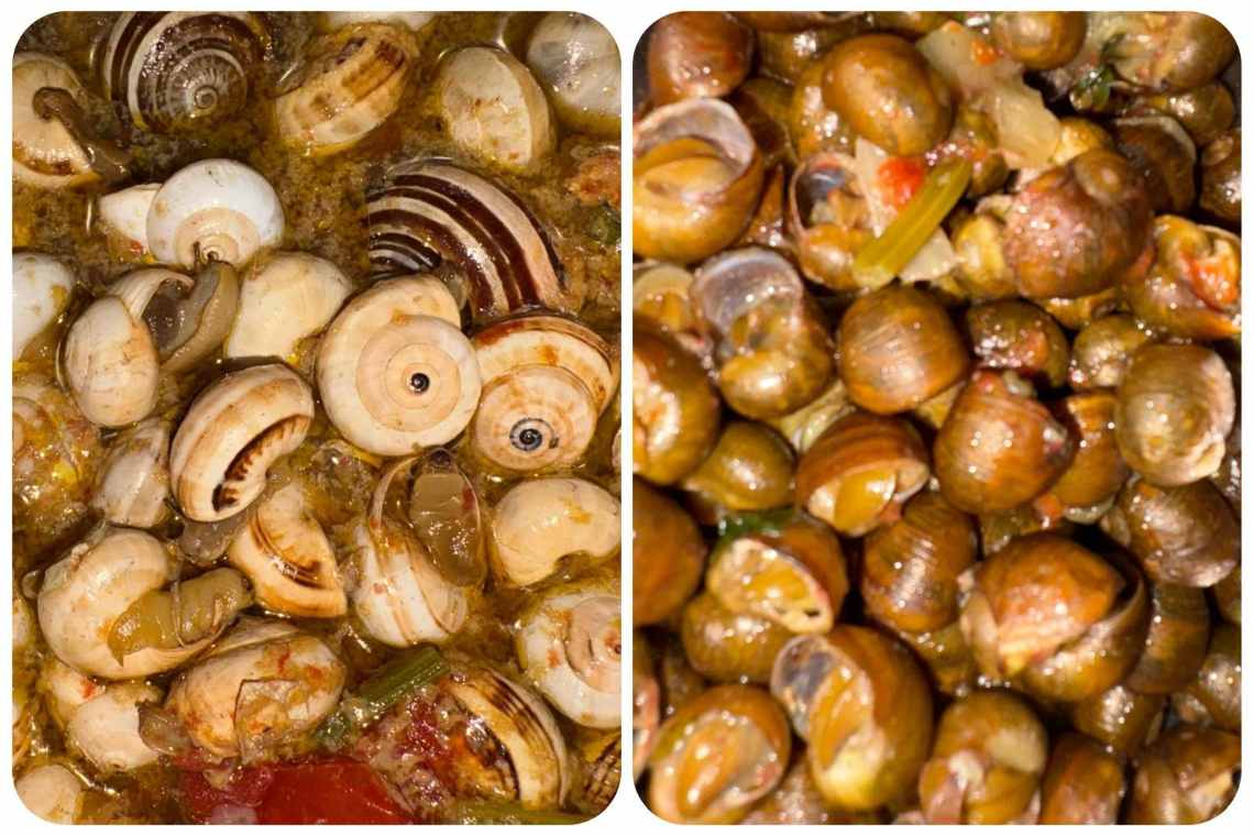 Cozza piccinna o municeddha, questione di gusto