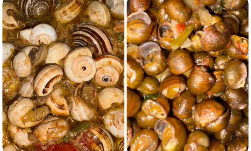 Cozza piccinna o municeddha, questione di gusto