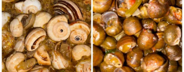 Cozza piccinna o municeddha, questione di gusto