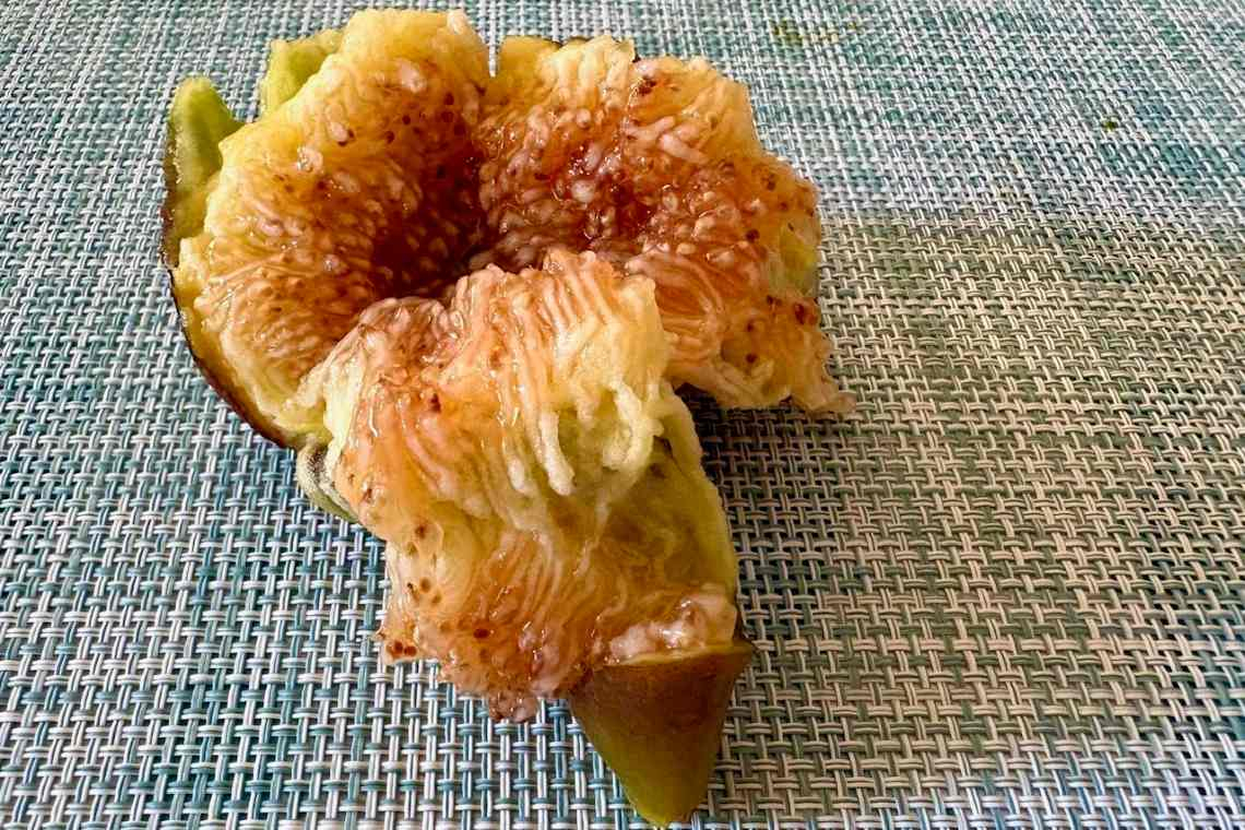 Un sensuale fiorone d’estate
