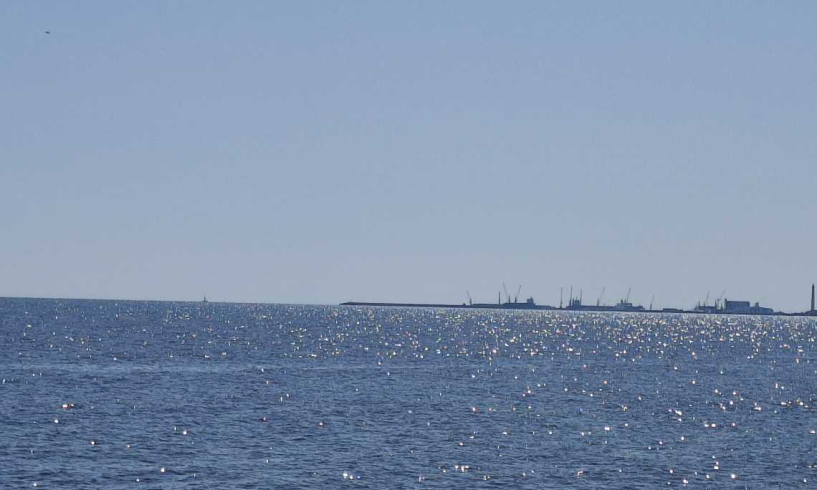 Mare