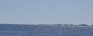 Mare