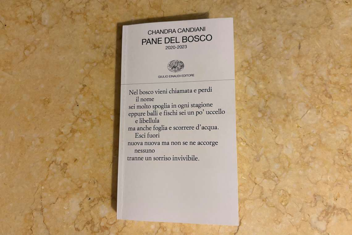Pane del bosco, Chandra Candiani