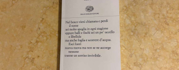 Pane del bosco, Chandra Candiani