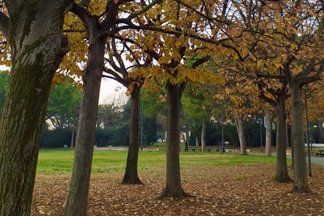 Sola e pensosa, poesie d’ottobre