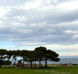 Una passeggiata in un campo di zucche